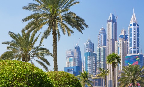 ОАЭ-самая безопасная арабская страна в дни пандемии