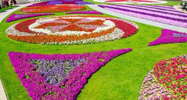 В Дубае в честь Дня толерантности появился самый большой цветочный ковёр в мире