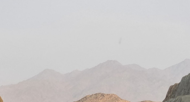 113